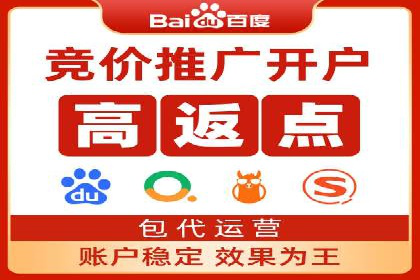 Sem优化公司案例：精准广告投放策略解析